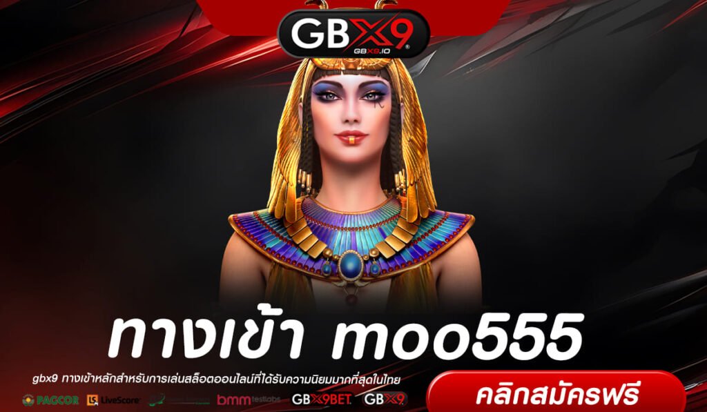 moo555 ทางเข้า เว็บใหม่มาแรง แตกบ่อย กำไรทวีคูณ