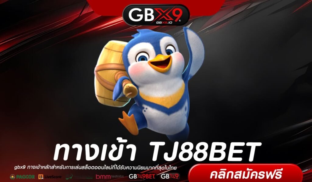 TJ88BET เว็บยอดนิยม อัตราจ่ายดีสุด แจกจริง